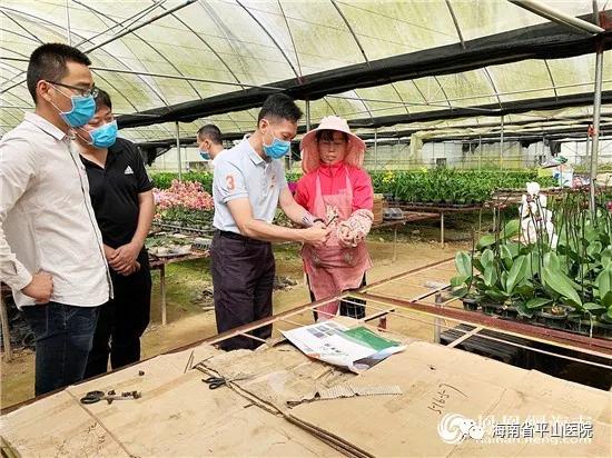 欧小凡海南,欧小凡