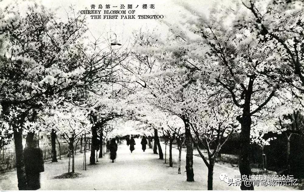 青岛岛城记忆,青岛记忆纪念馆