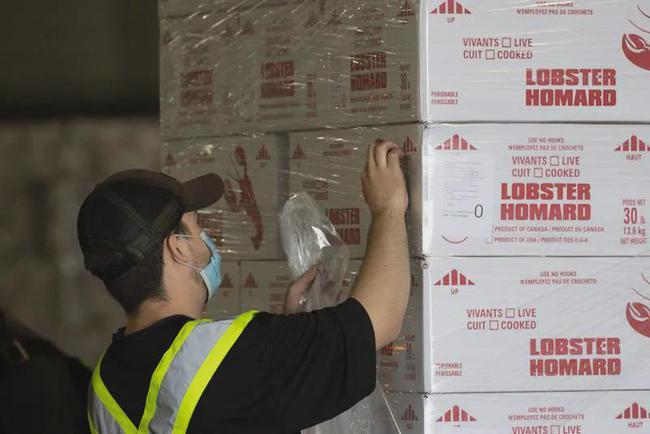 加拿大龙虾怎么处理,冷冻食品龙虾