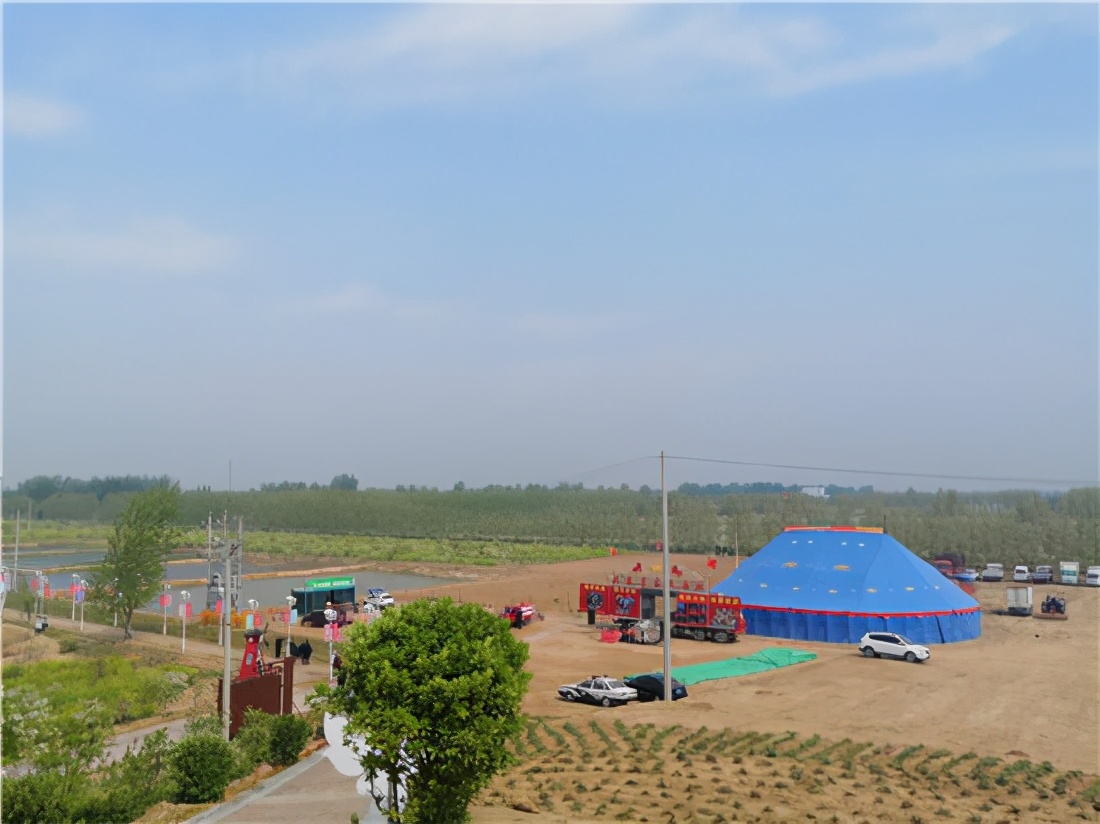 邱县第五届文冠果花节,邱县文冠花节掠影