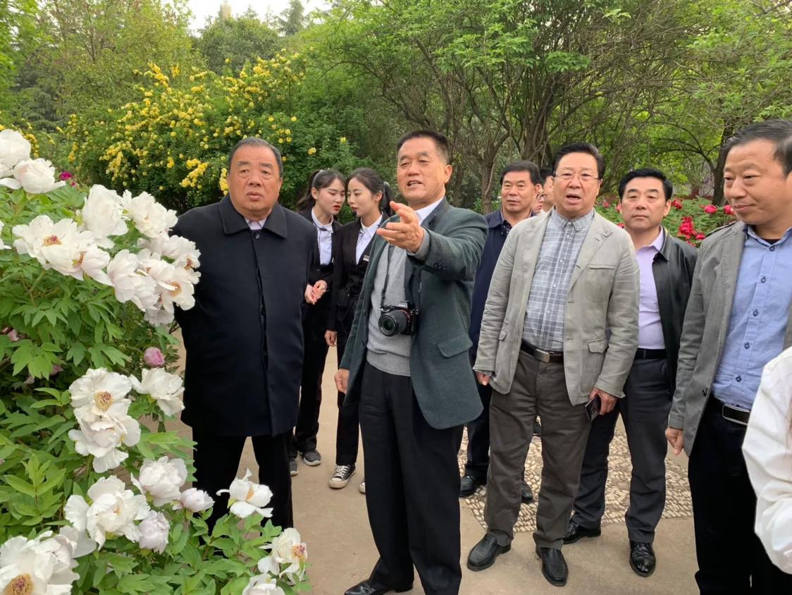 河南芒砀商会,芒砀山交流会2020