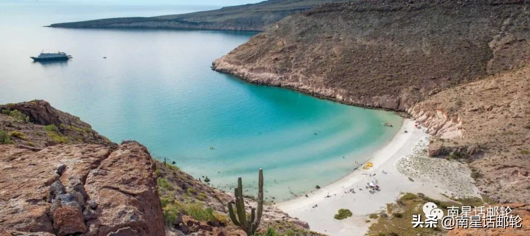 邮轮爆出一例阳性就要耗资数百万美金？