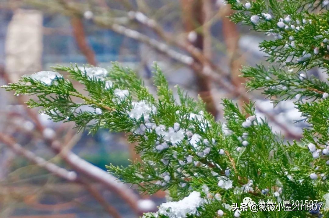 城市漫步,城市漫步郑州