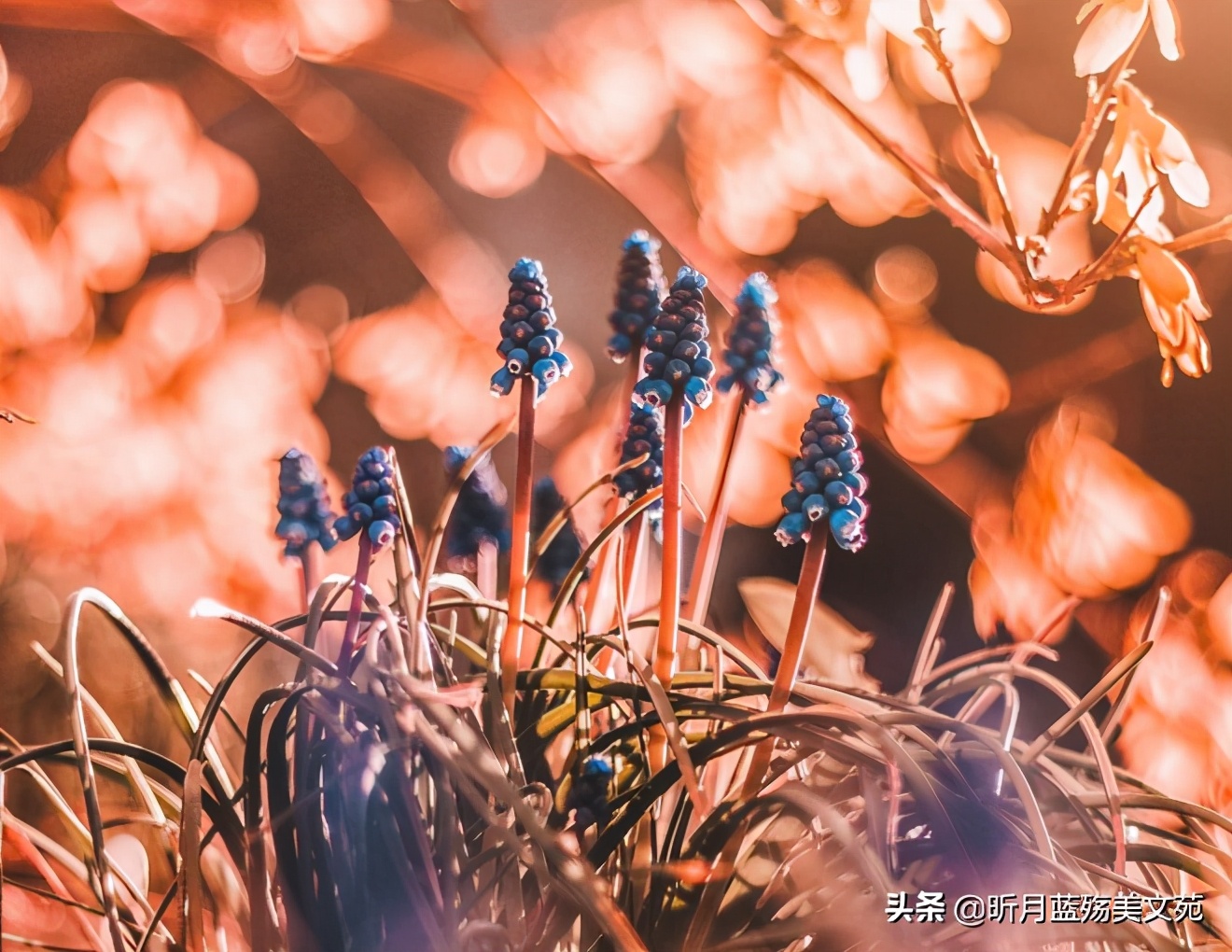 有种真爱叫忍着不联系却天天想你,有一种深爱叫天天想你却不能相见