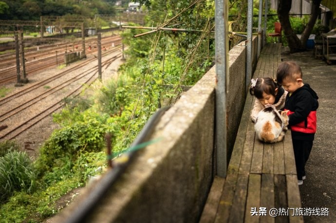 台湾猴硐猫村值得去吗,猴硐猫村旅游攻略