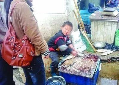 杀鱼弟养成网红事件,杀鱼弟为什么被救了