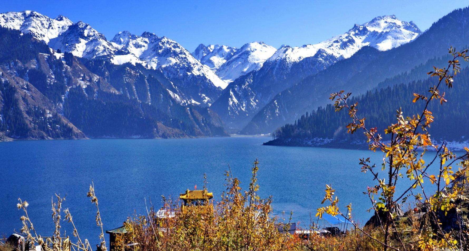 作家丁燕个人简介,丁燕个人资料简介