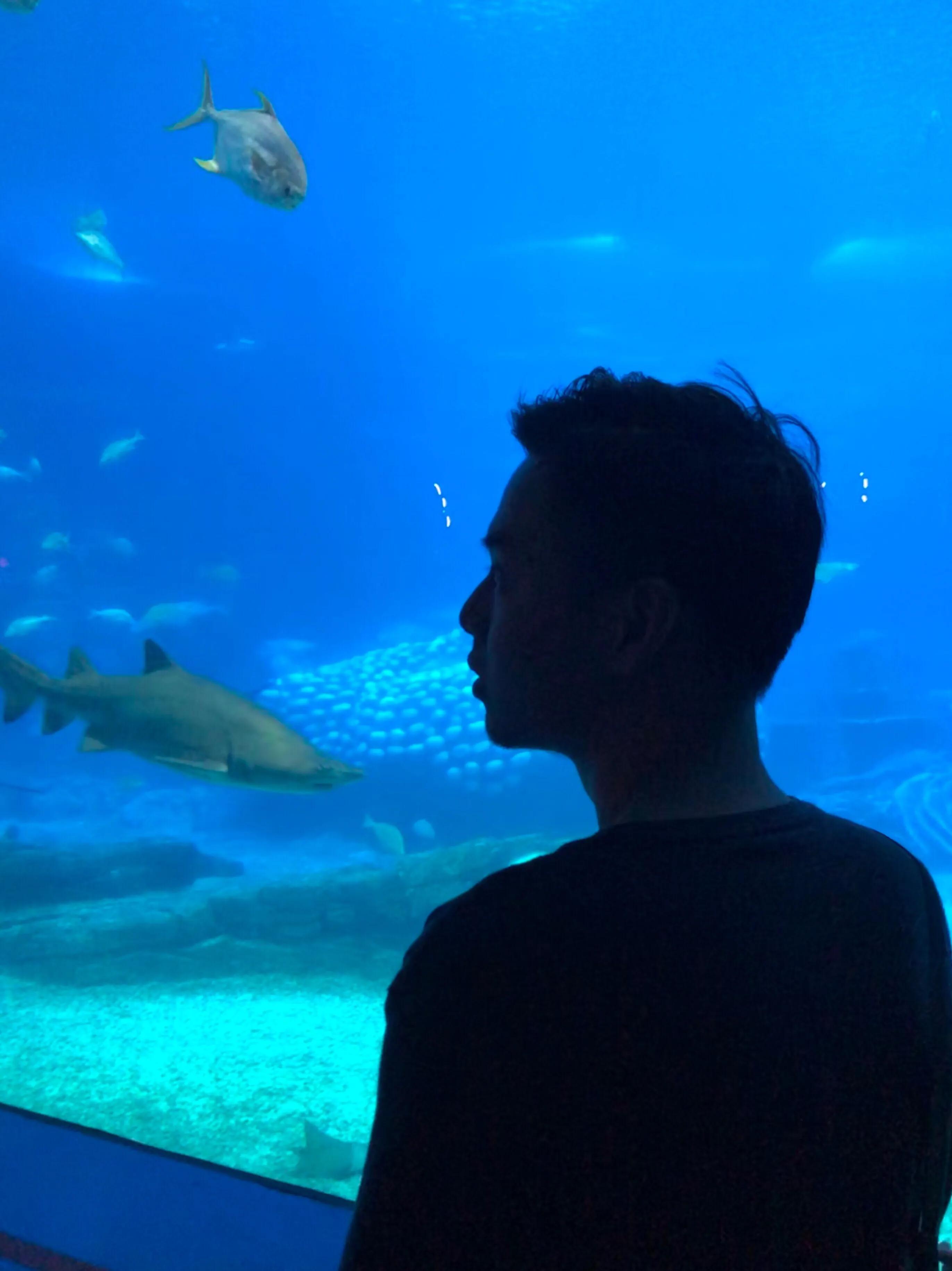 珠海长隆海底世界旅游攻略,珠海旅游攻略长隆海底世界