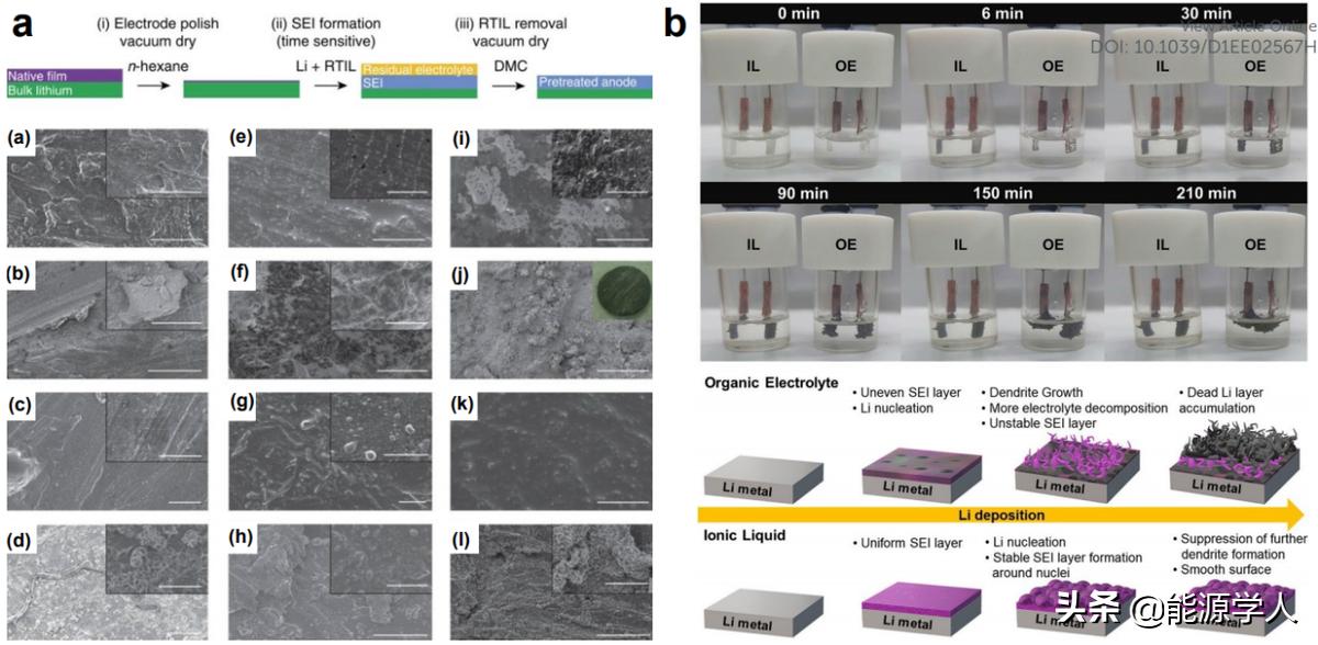 EES综述——离子液体族准固态电解质在二次电池中的应用