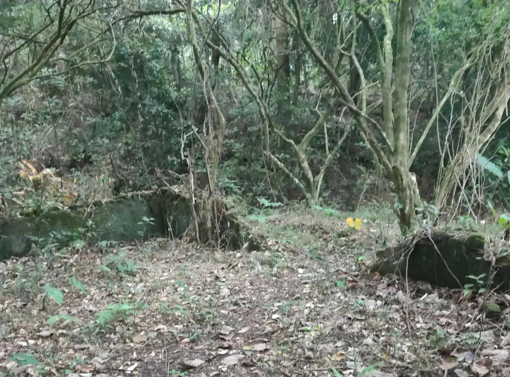 独行大云雾山——劫后余生，还有什么可惧