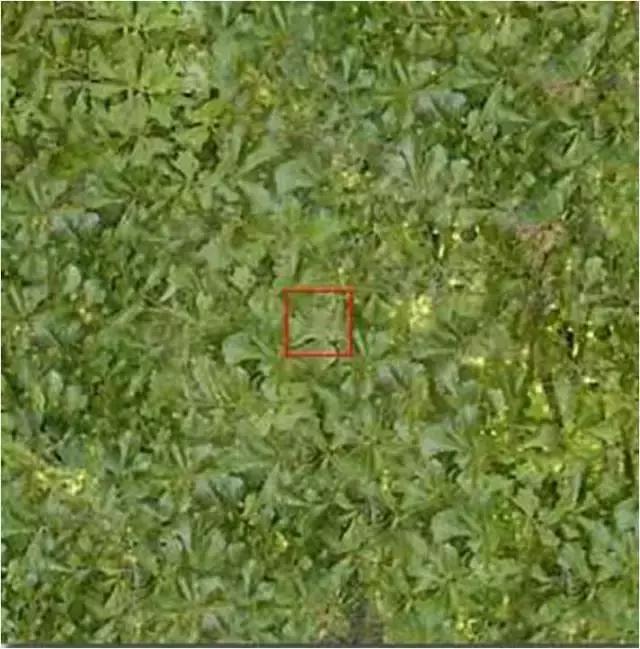 色即是空：这些图片看完后你还有什么想不通？