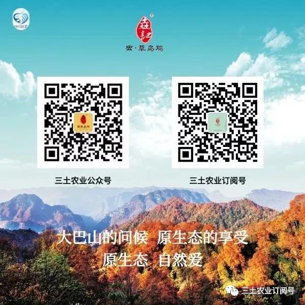 藏西是怎么样的,去西藏必须知道的20种元素