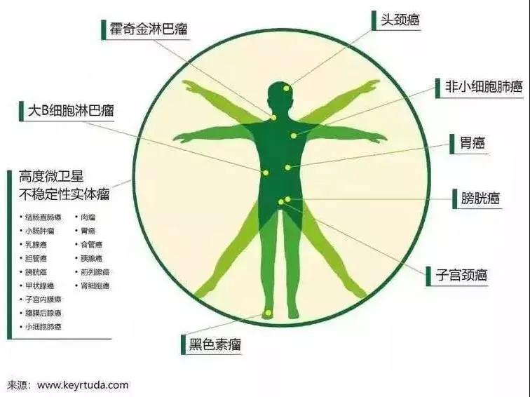 k药适合哪一种癌症,k药肿瘤消失会复发吗