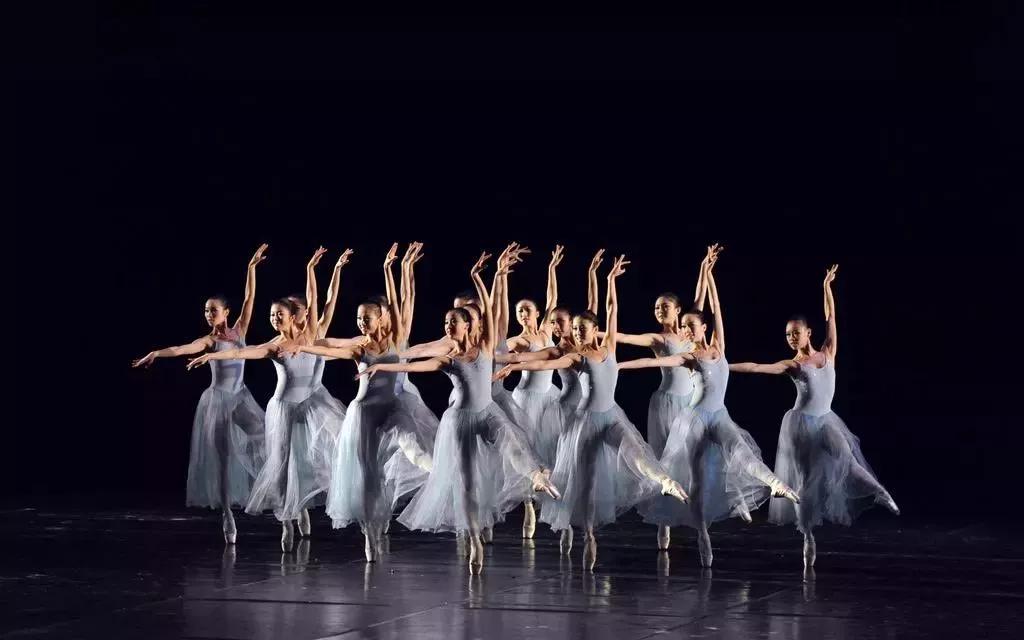 舞蹈生12年舞蹈经历,舞蹈生学习经历