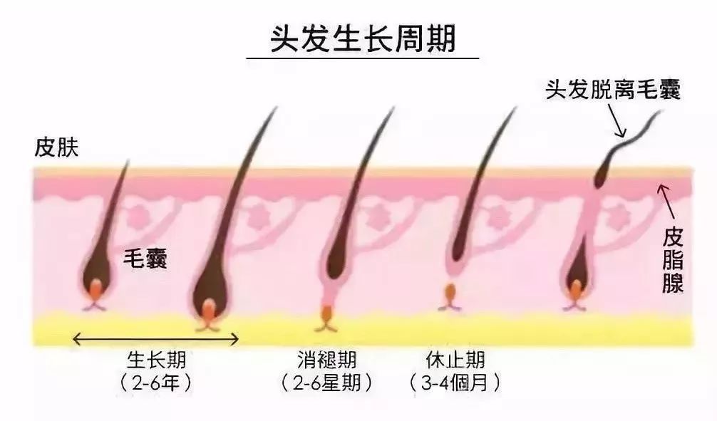 防脱洗发水有副作用吗,等到脱发了才开始用防脱洗发水