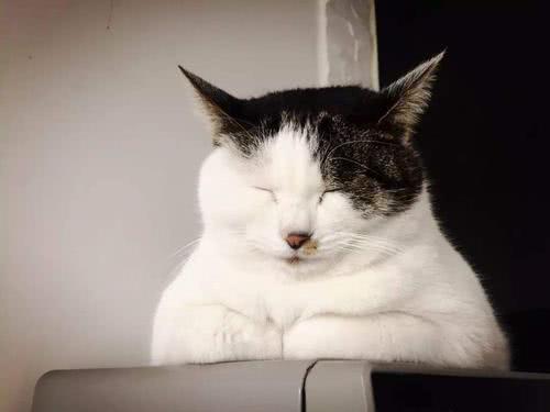 <html>
<head><title>502BadGateway</title></head>
<body>
<center><h1>502BadGateway</h1></center>
<hr><center>nginx</center>
</body>
</html>
<!--apaddingtodisableMSIEandChromefriendlyerrorpage-->
<!--apaddingtodisableMSIEandChromefriendlyerrorpage-->
<!--apaddingtodisableMSIEandChromefriendlyerrorpage-->
<!--apaddingtodisableMSIEandChromefriendlyerrorpage-->
<!--apaddingtodisableMSIEandChromefriendlyerrorpage-->
<!--apaddingtodisableMSIEandChromefriendlyerrorpage-->
