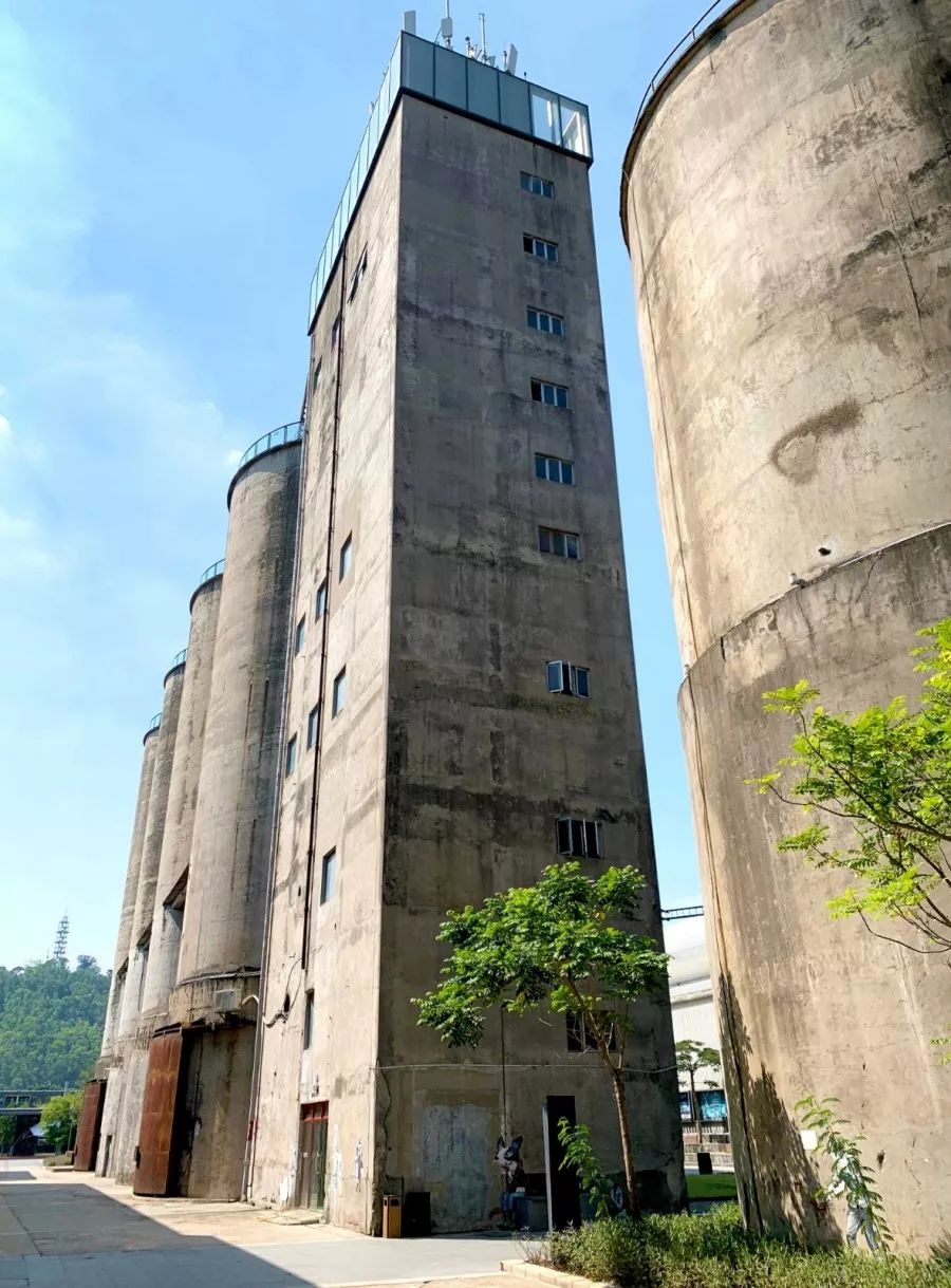 去深圳蛇口,去蛇口游玩到哪里