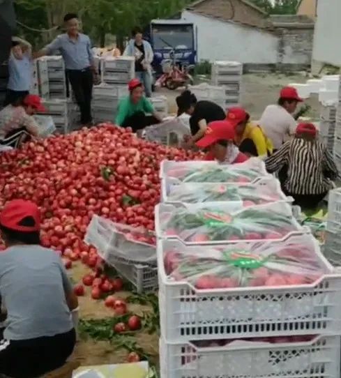 从退伍兵到群众贴心人,从退役军人到乡村致富领路人