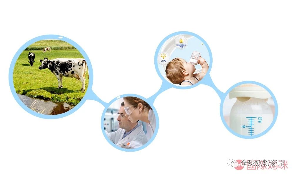 飞鹤奶粉和惠氏爱他美,飞鹤和德国爱他美价格