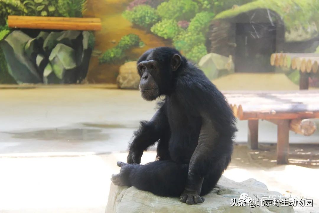 我的“欧慨”找不到啦