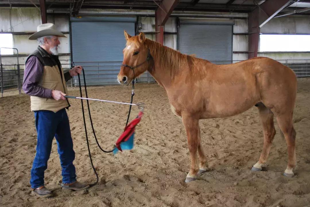 三分钟一字马教程,两小时驯马的全过程