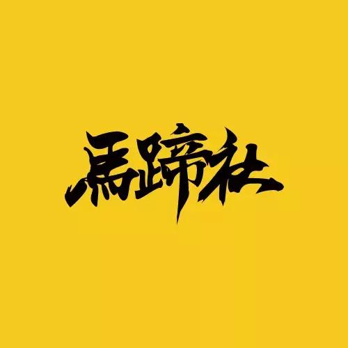 重识淘宝直播，深度解析直播与变现丨马蹄社×于MOMO游学实录
