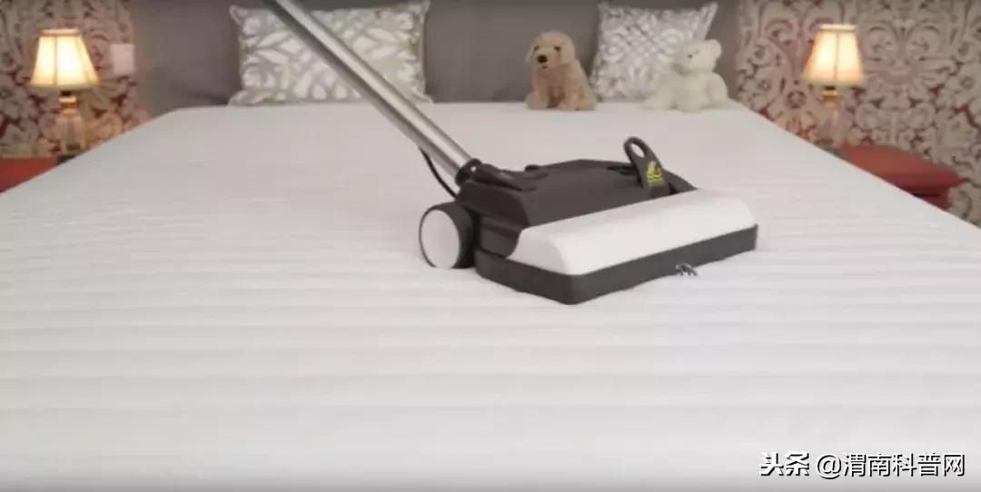 床垫被子怎么除螨虫,进口床垫清洗除螨虫