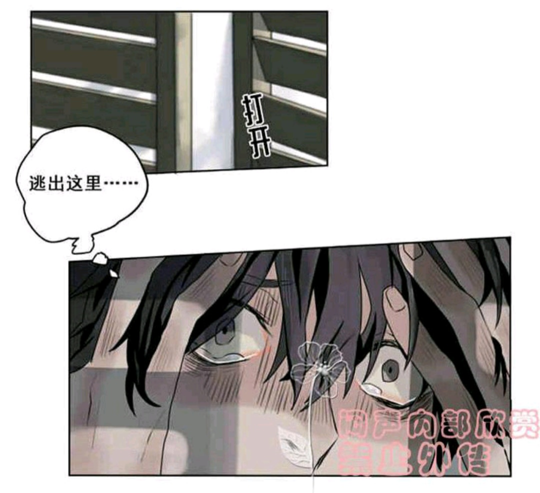 死亡之鸟的凝视第十八话完整版,死亡之鸟的凝视漫画免费