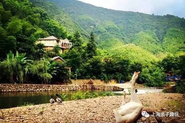 假期给大家送个福利,假期超强福利分享礼包