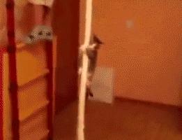 玉米地发现不明液体怎么办,玉米地发现的怪事