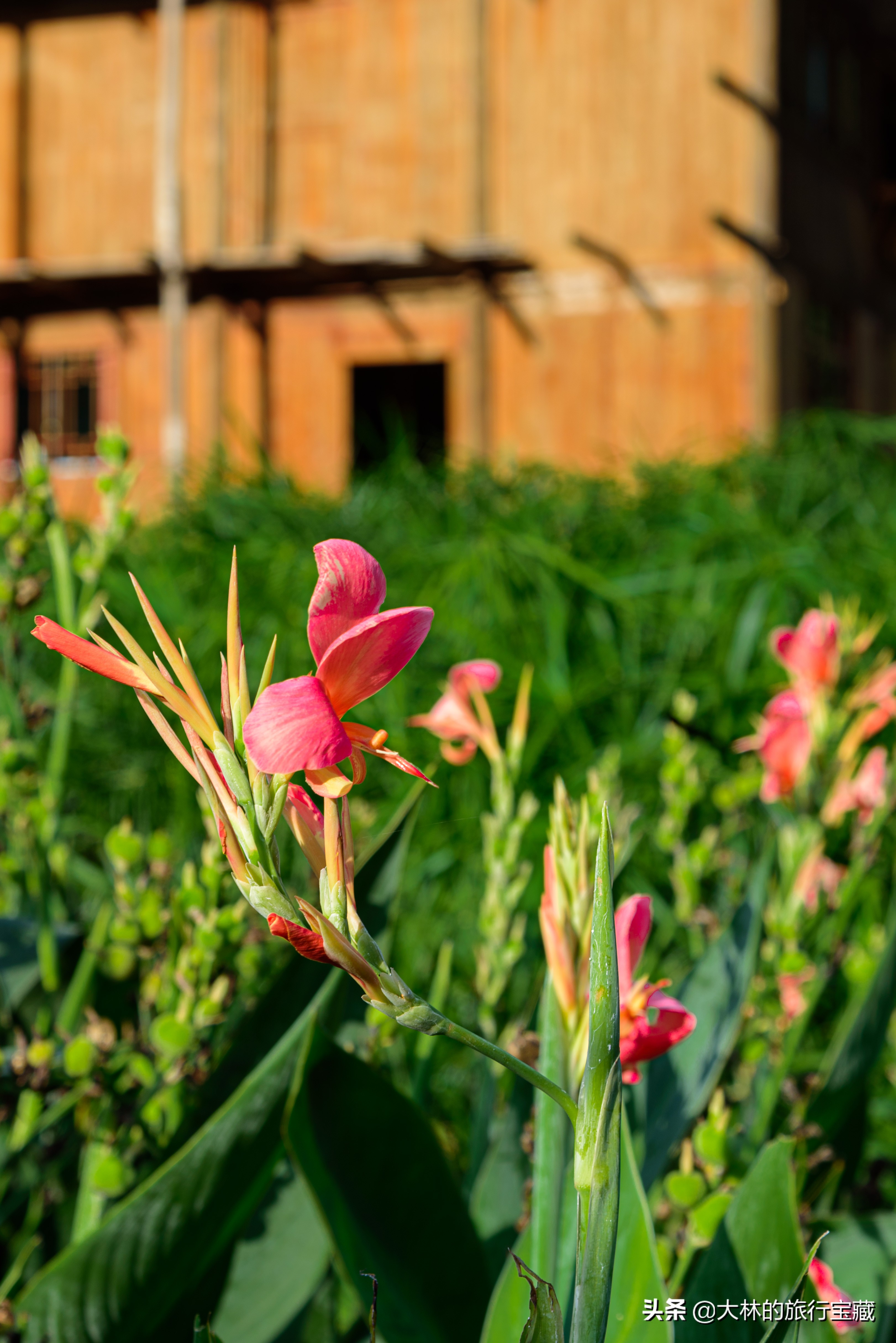 中国第一民俗村,民俗第一村在哪里