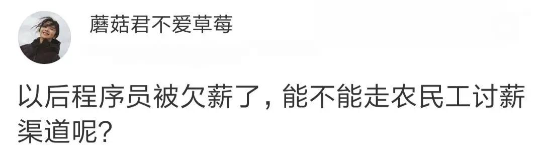 程序员新生代农民工,程序员被定义为新时代的农民工