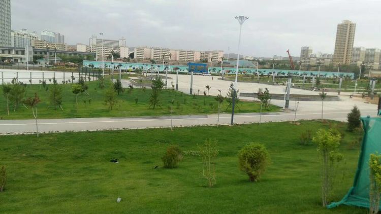 学乒乓球的书,乒乓球王新文