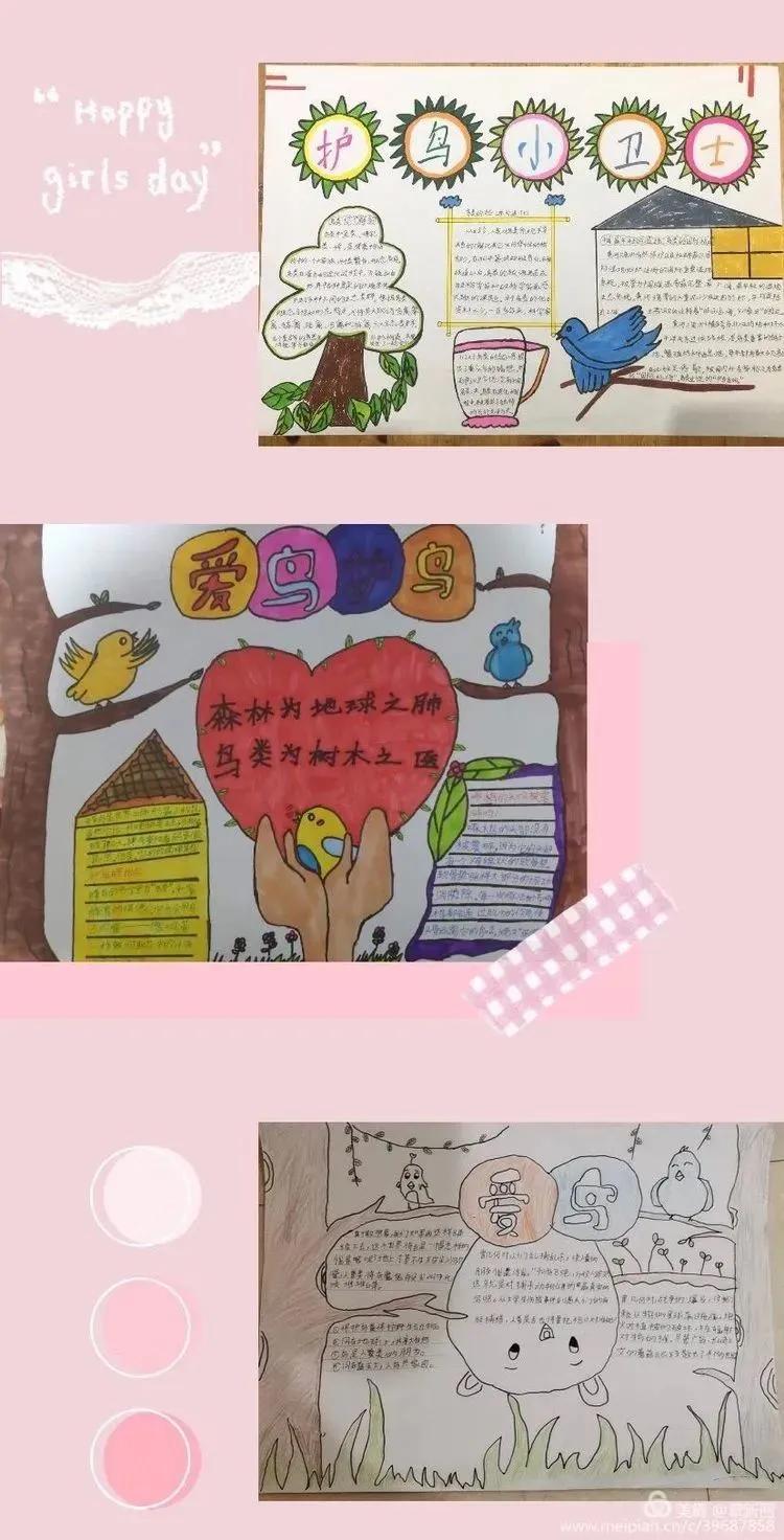 “同心呵护鸟类共建美好家园”建阳麻沙中心小学第38届爱鸟周活动