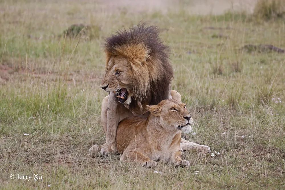 情人节，就该和爱的人*爱做**做的事