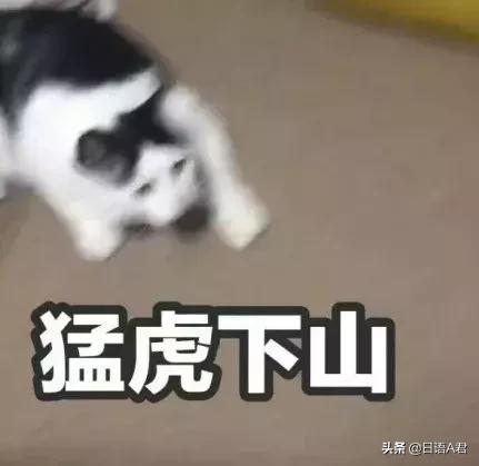 日语中的汉字读法,日语一个字有这么多读法