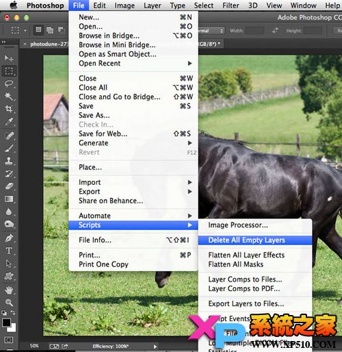 adobereader停止工作怎么解决,ps打开文件太多卡死怎么恢复