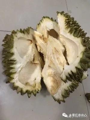 在网上买水果遇到假货怎么办,网上购买水果会被坑吗