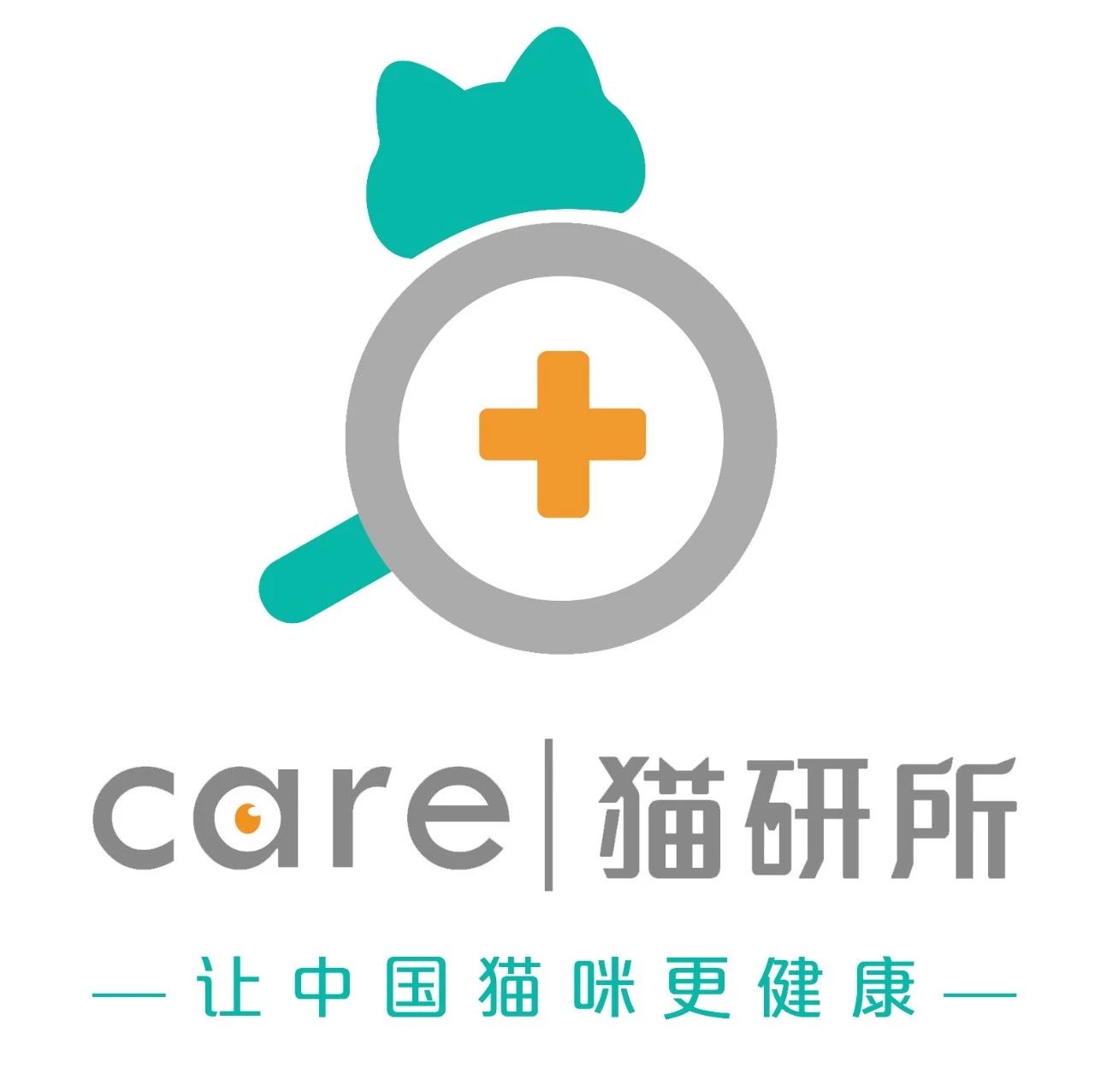 猫咪为啥吃虫子,猫咪为什么吃虫子