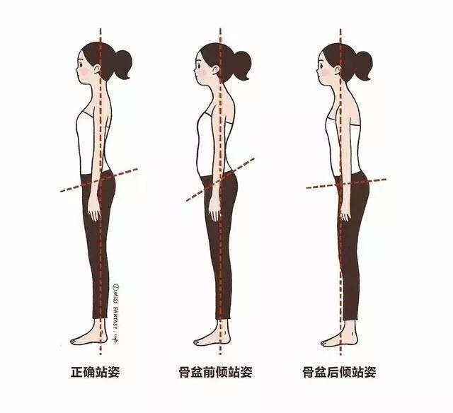 lisa的腿有多直,lisa的腰好细