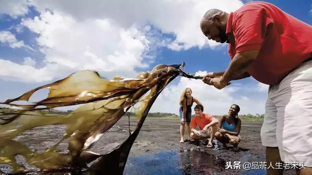 最新世界十大“怪”，最后一个太绝了！