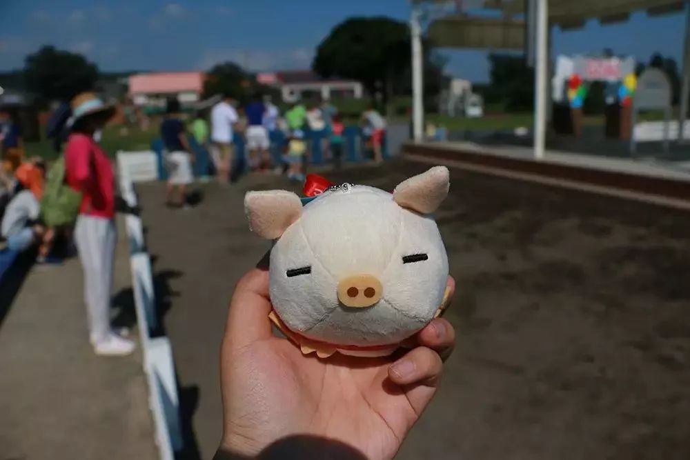 日本生态农业庄园,日本田园农场排行榜