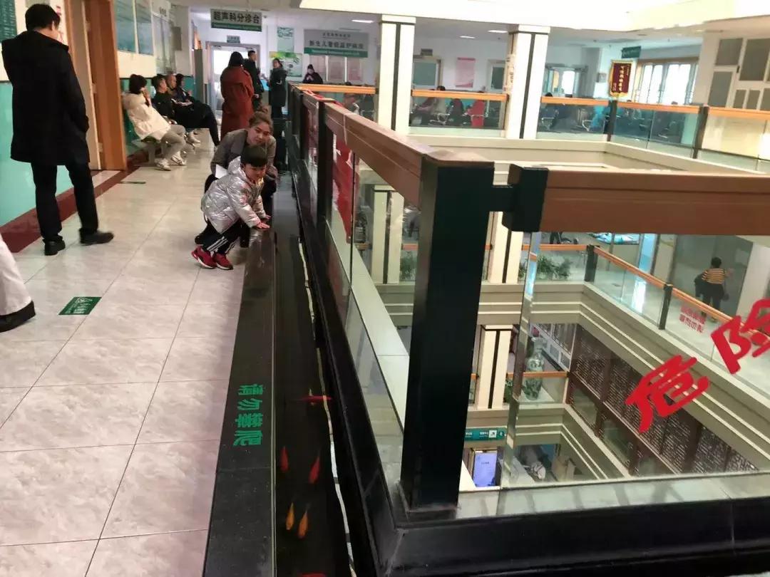 儿科好消息,四季青医院最新消息