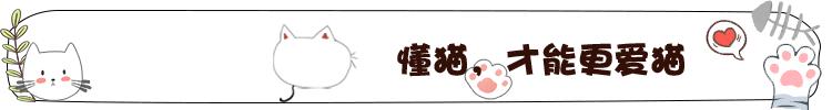 领养代替购买？这样的*养送**人我也选择拒绝