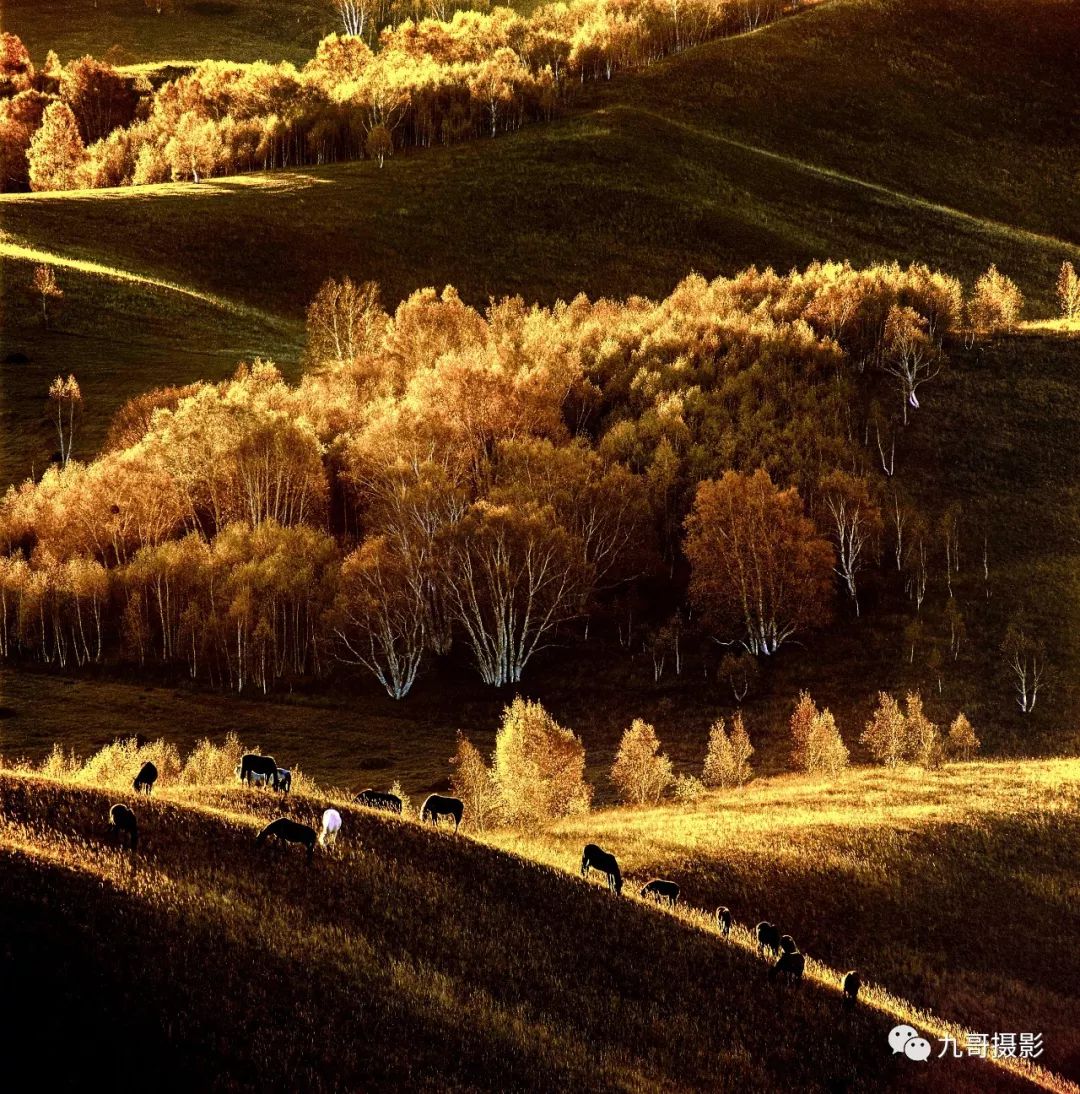 大美坝上草原全景,大美坝上风光系列之一