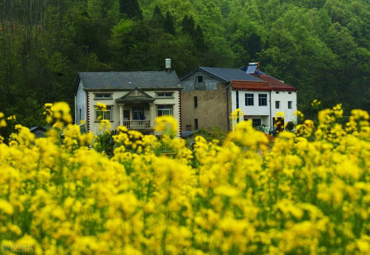 以租代征违法的法律依据是什么,以租代征是什么时候认定违法的