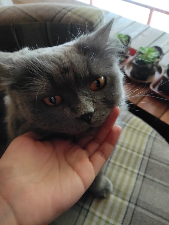 青海湖最美公路在哪,青海湖附近小众秘境