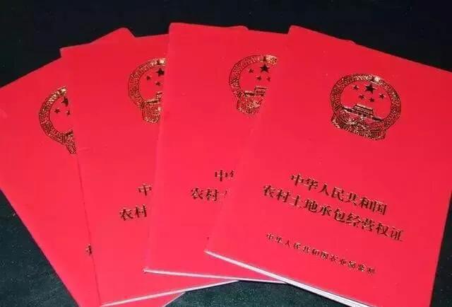 一户两宅怎么处置,怎样处理一户两宅是否合法