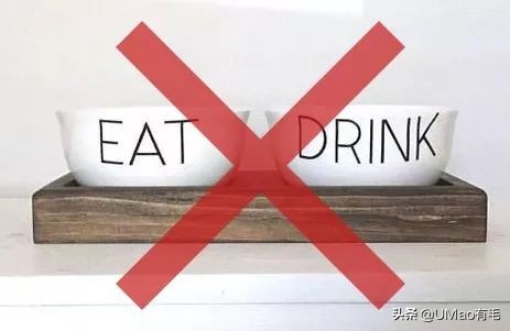 养猫这么多年你怎么连碗都摆不对 (养猫省钱妙招猫碗)