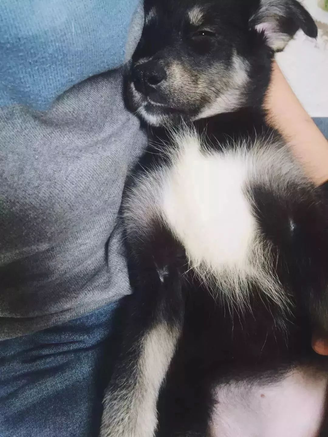 西南民大值得去读吗,西南民大是什么级别